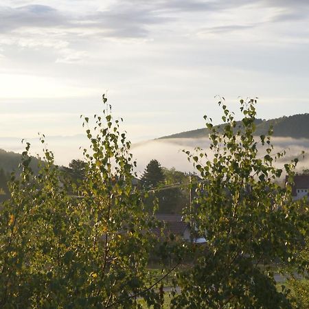 Gites Du Taennchel Танненкирш Экстерьер фото