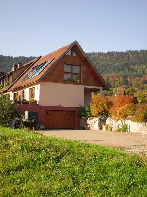 Gites Du Taennchel Танненкирш Экстерьер фото